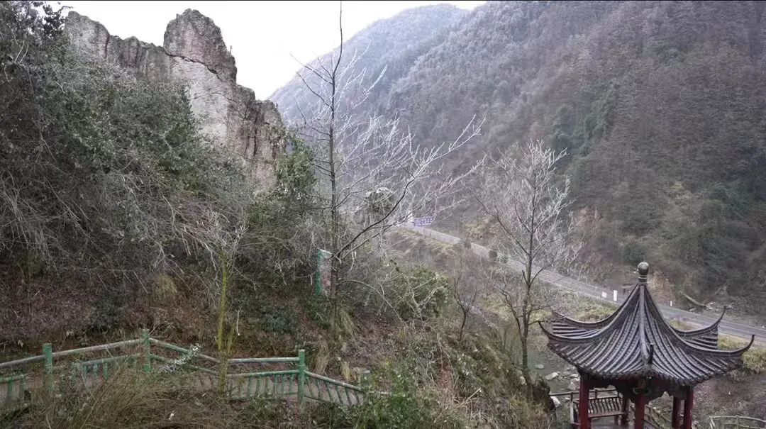 DƬ